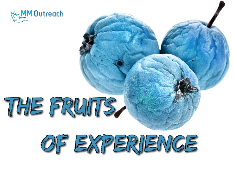 The Fruits of experience Todd Bentley Bill Johnson and William Branham mantle